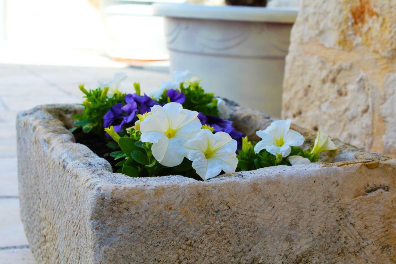 Trulli Antica Fonte Bed & Breakfast Alberobello Eksteriør bilde